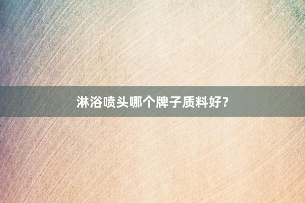 淋浴喷头哪个牌子质料好？