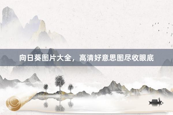 向日葵图片大全，高清好意思图尽收眼底
