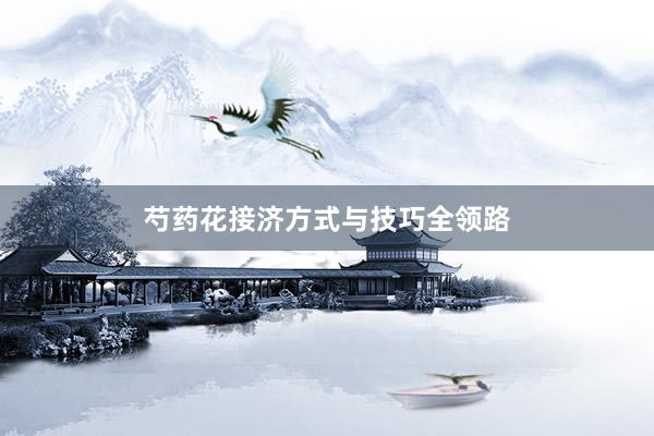 芍药花接济方式与技巧全领路